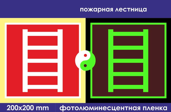 F03 пожарная лестница (фотолюминесцентная пленка, 200х200 мм) - Знаки безопасности - Фотолюминесцентные знаки - vektorb.ru